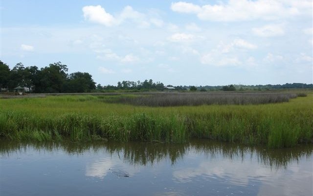Parsonage Point