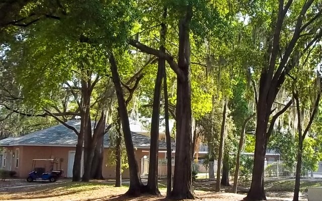 La Vista Oaks Apartments