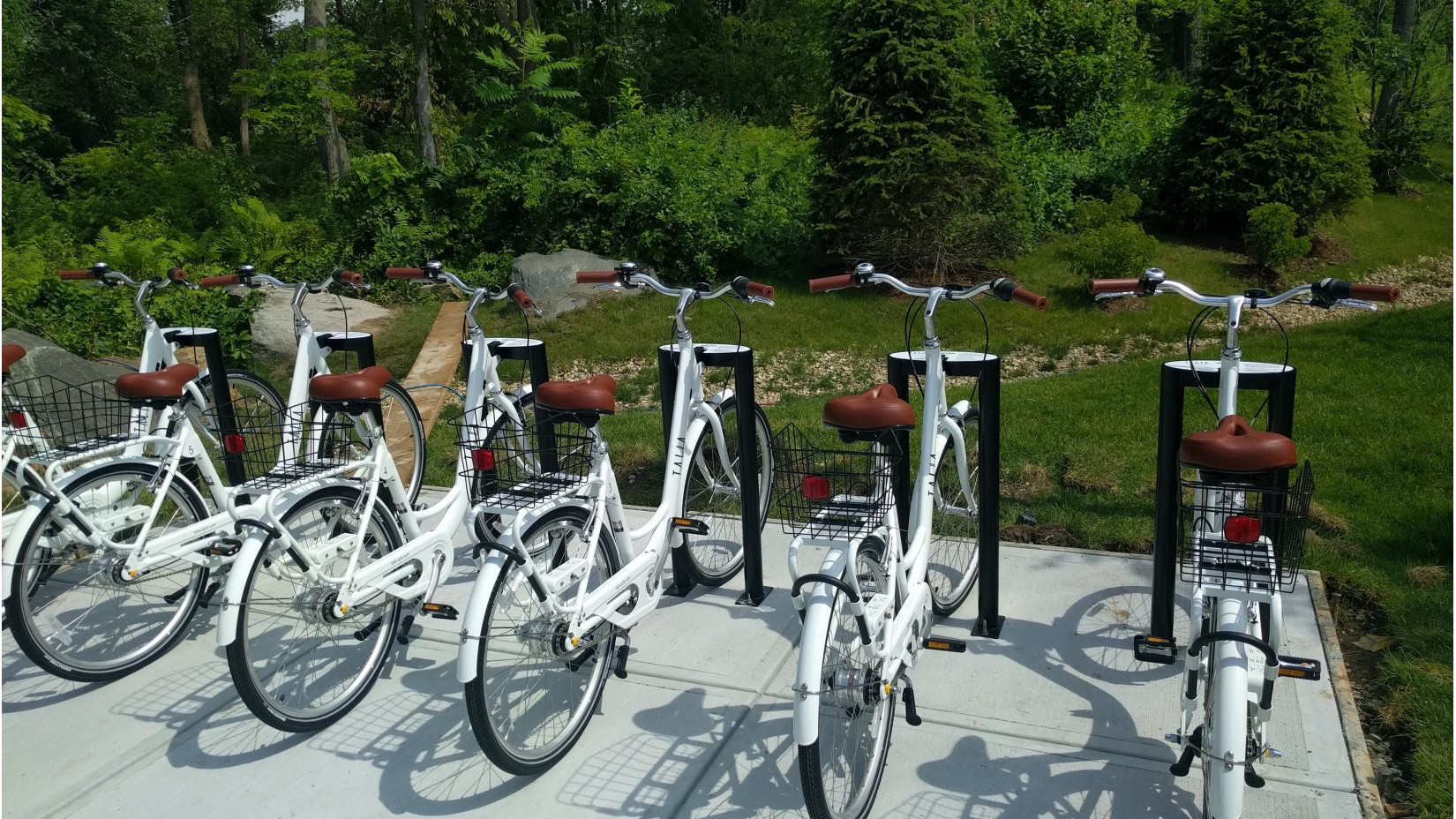 Relax at Talia Apartments in Marlborough, Massachusetts