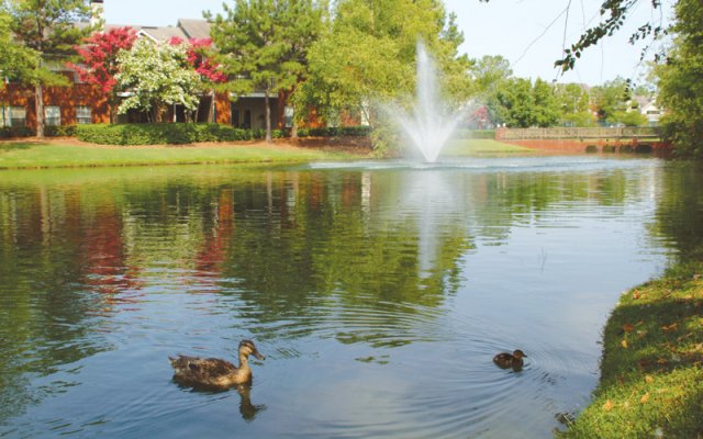 Vaughn Lakes