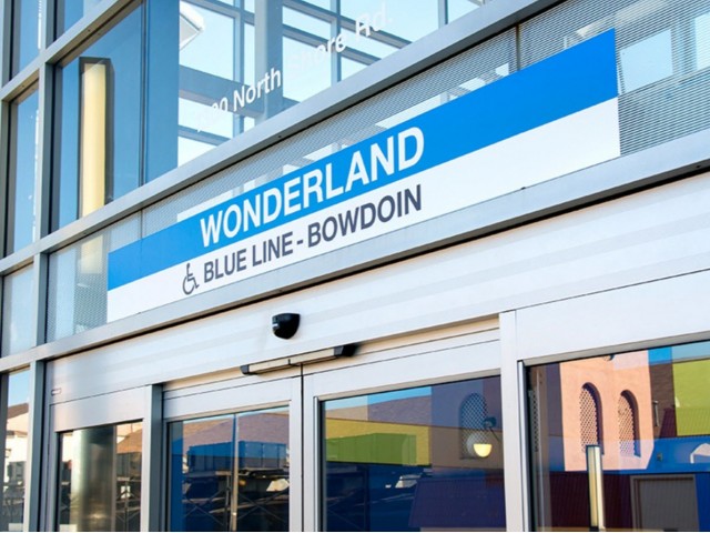 WONDERLAND BLUE LINE