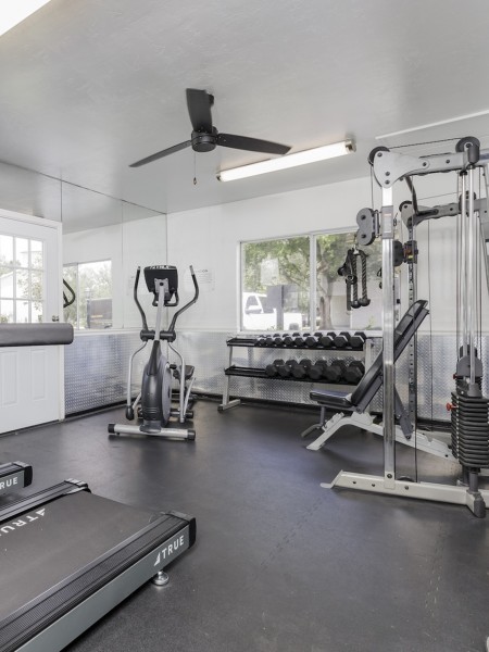 Community Gym with treadmill and bench press.