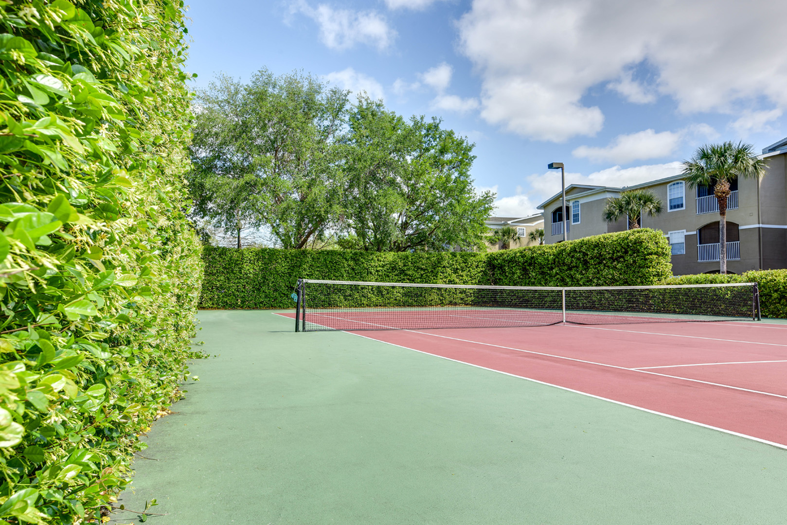 Tennis court surrounded by tall bushes.  Trees and building in background.