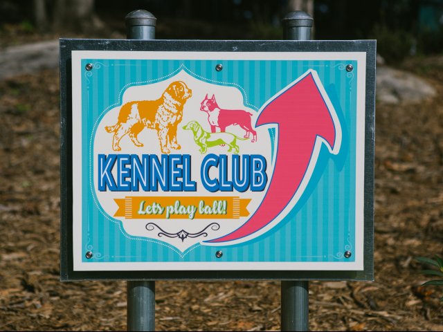 Image of The Kennel Club | Dog Park for Swallowtail Flats at Old Town