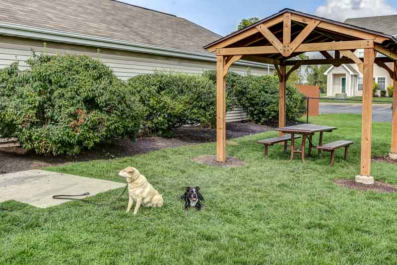 Apartments for rent in Williamsville NY | Dog Park