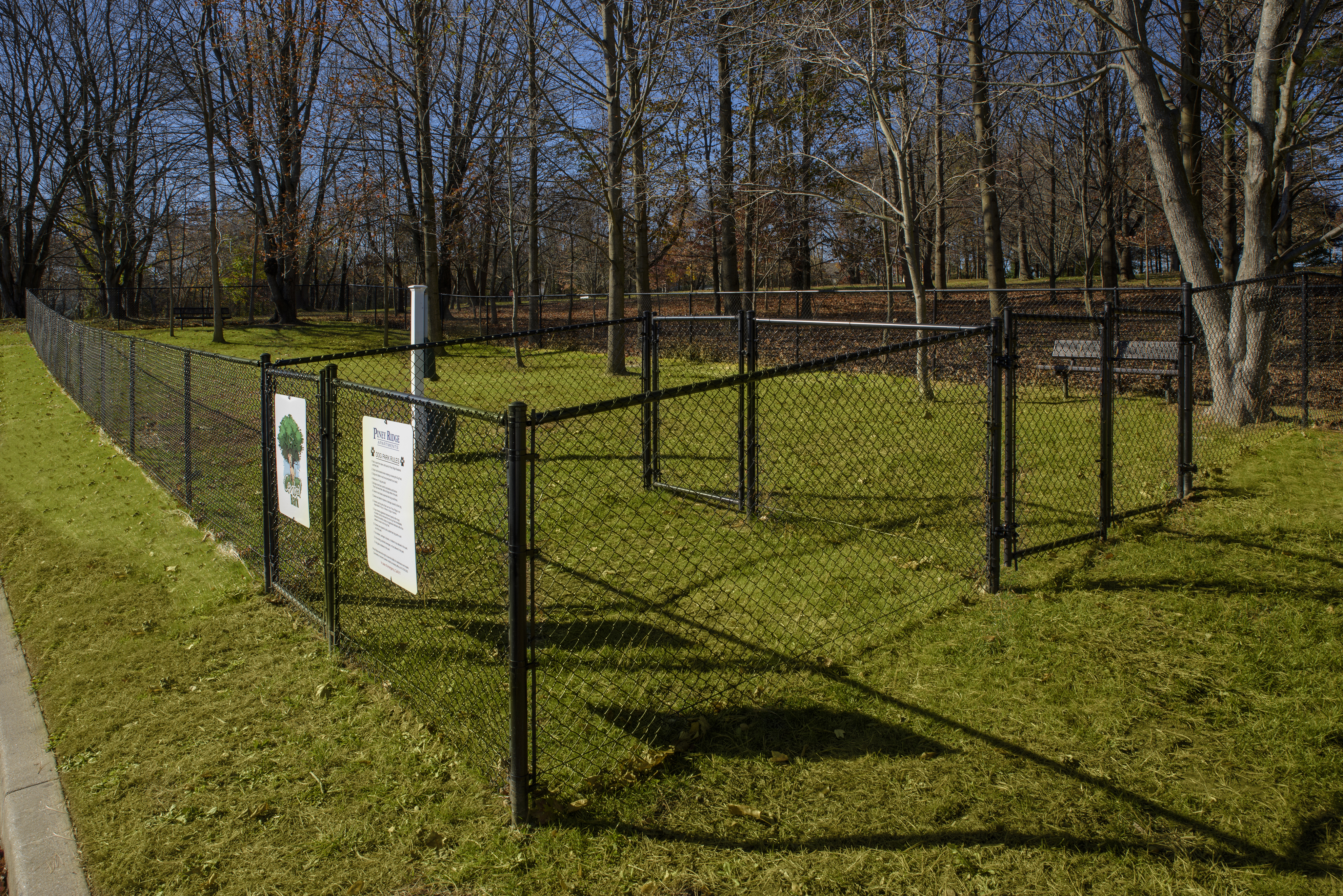 Fenced-in dog park at Piney Ridge Apartments & Townhomes.