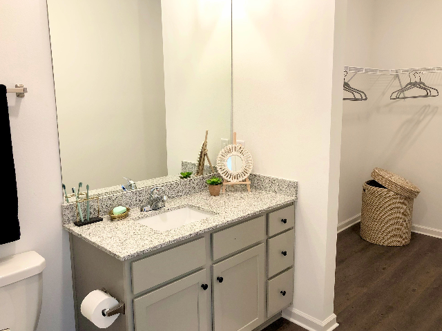 Elegant Bathroom | Apartments in Knoxville, TN | Flagship Kerns