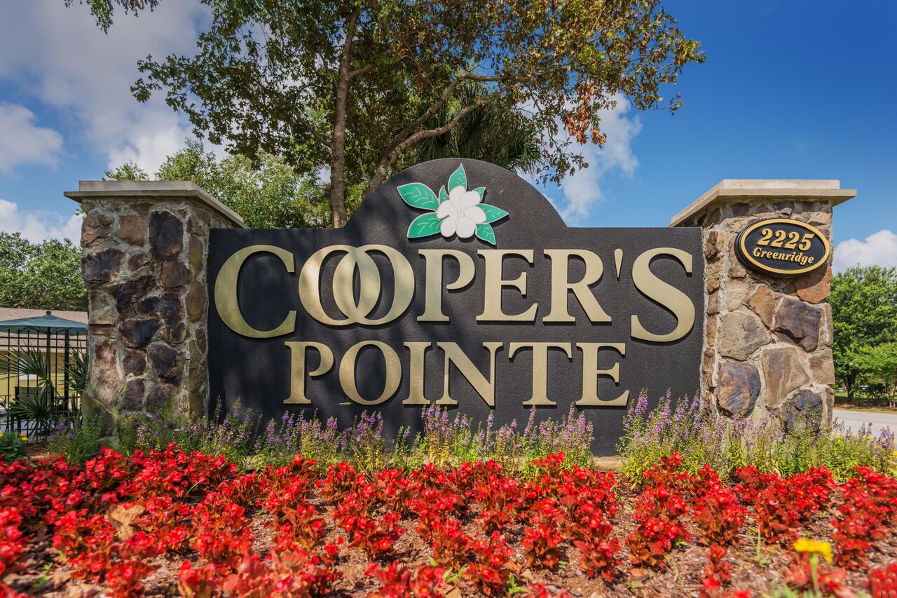 Cooper's Pointe Image 46