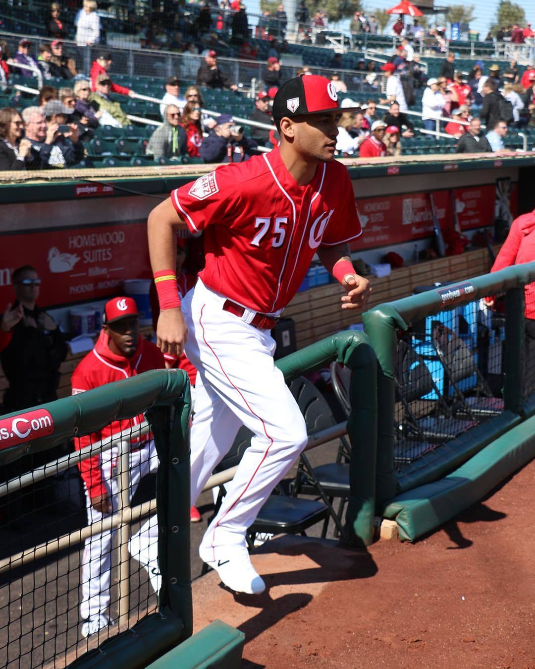 Catch A Spring Training Game at the Goodyear Ballpark