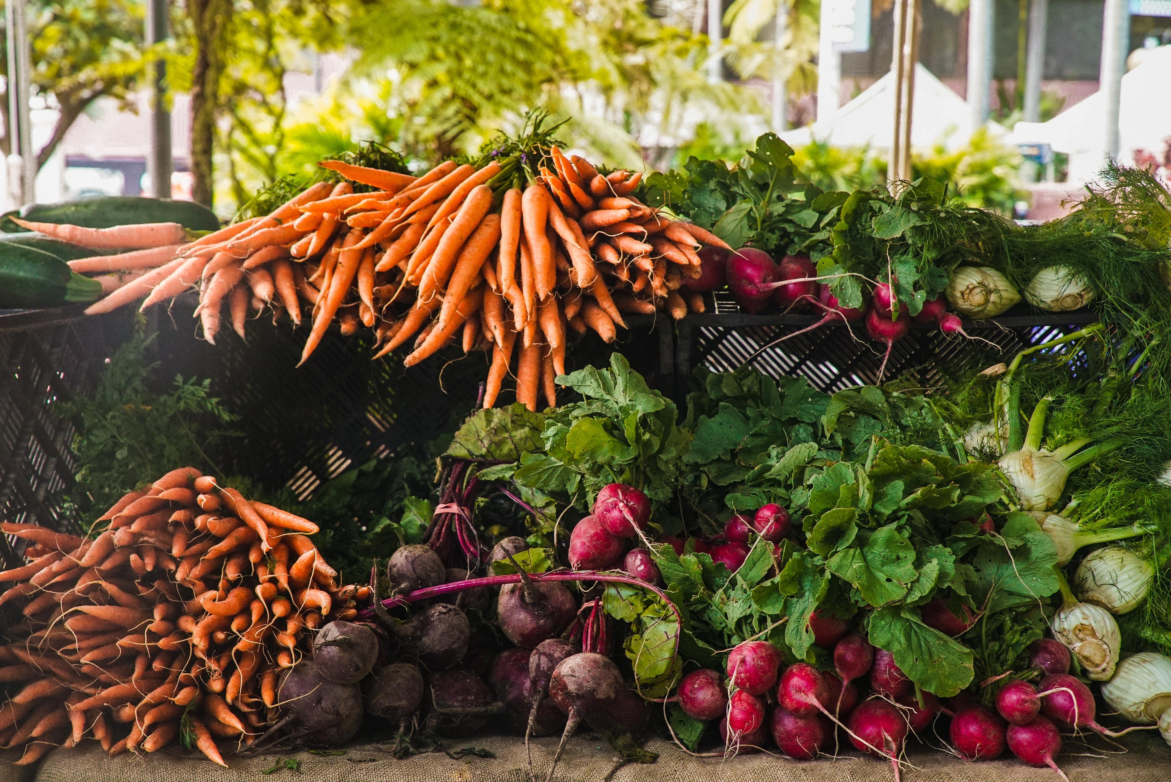 spring-farmers-markets-in-vancouver-wa