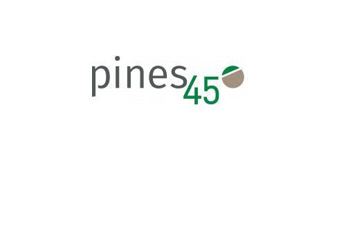 Pines45 Logo | Pines45