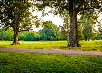 Central Park is an ideal spot to hike, bike, or gather. Treasure time with friends and family in one of the many outdoor picnic areas or hit the 1 mile trail for bit of the great outdoors. at Central Park