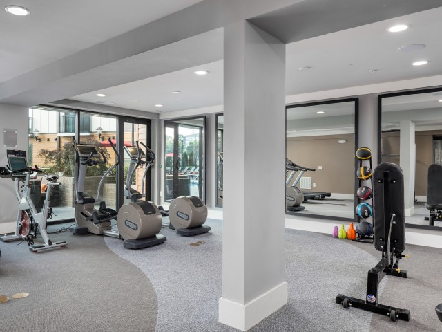 View of Fitness Center, Showing Cardio Machines, Bench, and Medicine Balls at Cottonwood Westside Apartments