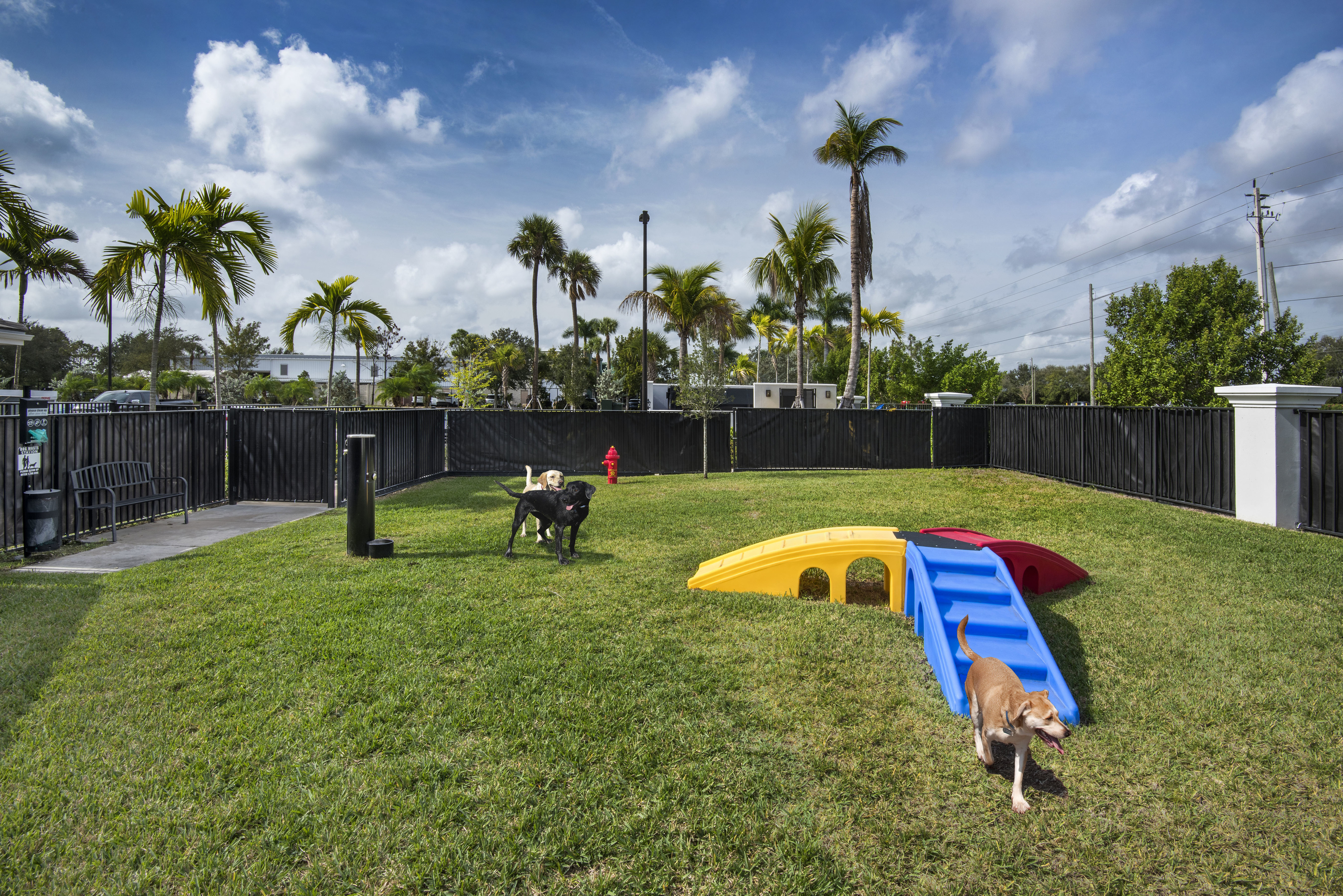 View of Dog Park, Showing Dogs in Fenced-In Area, Fixed Dog Exercise Toys, and Water Station at Cottonwood West Palm Apartments
