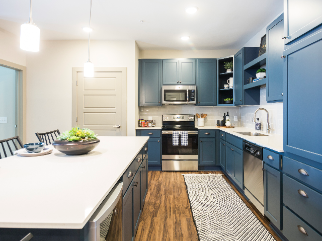 Enjoy Our Kitchen, With View of Hardwood-Inspired Flooring, Stainless Steel Appliances and Overhead Lights at Alton Optimist Park Apartments