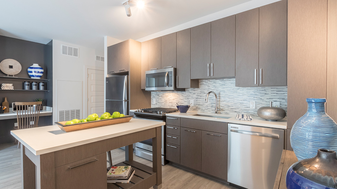 Amenities At Modera Midtown Rentals 