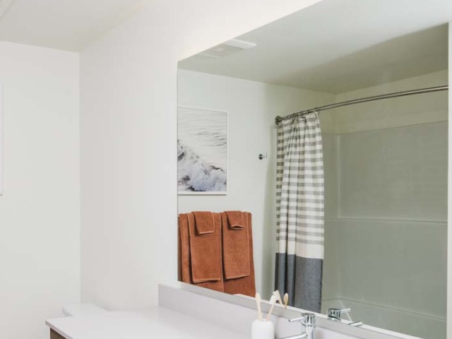 Bathroom with large mirror
