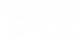 the nolan logo