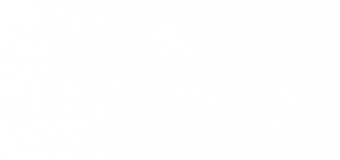 The Commons Logo White