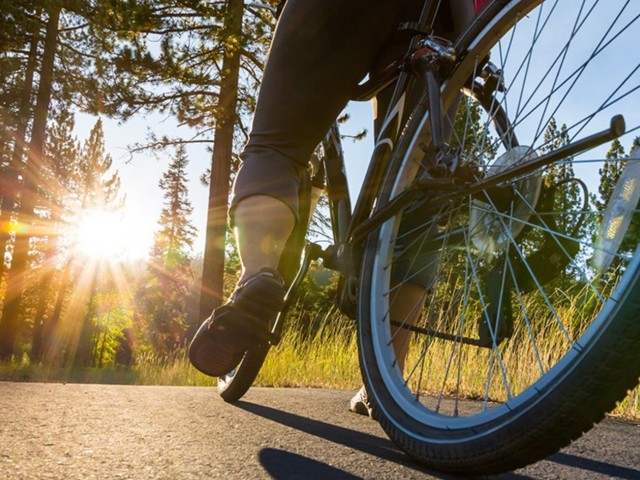 ASSABET RIVER RAIL TRAIL
