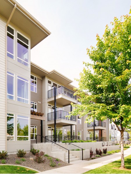 Elm Lofts