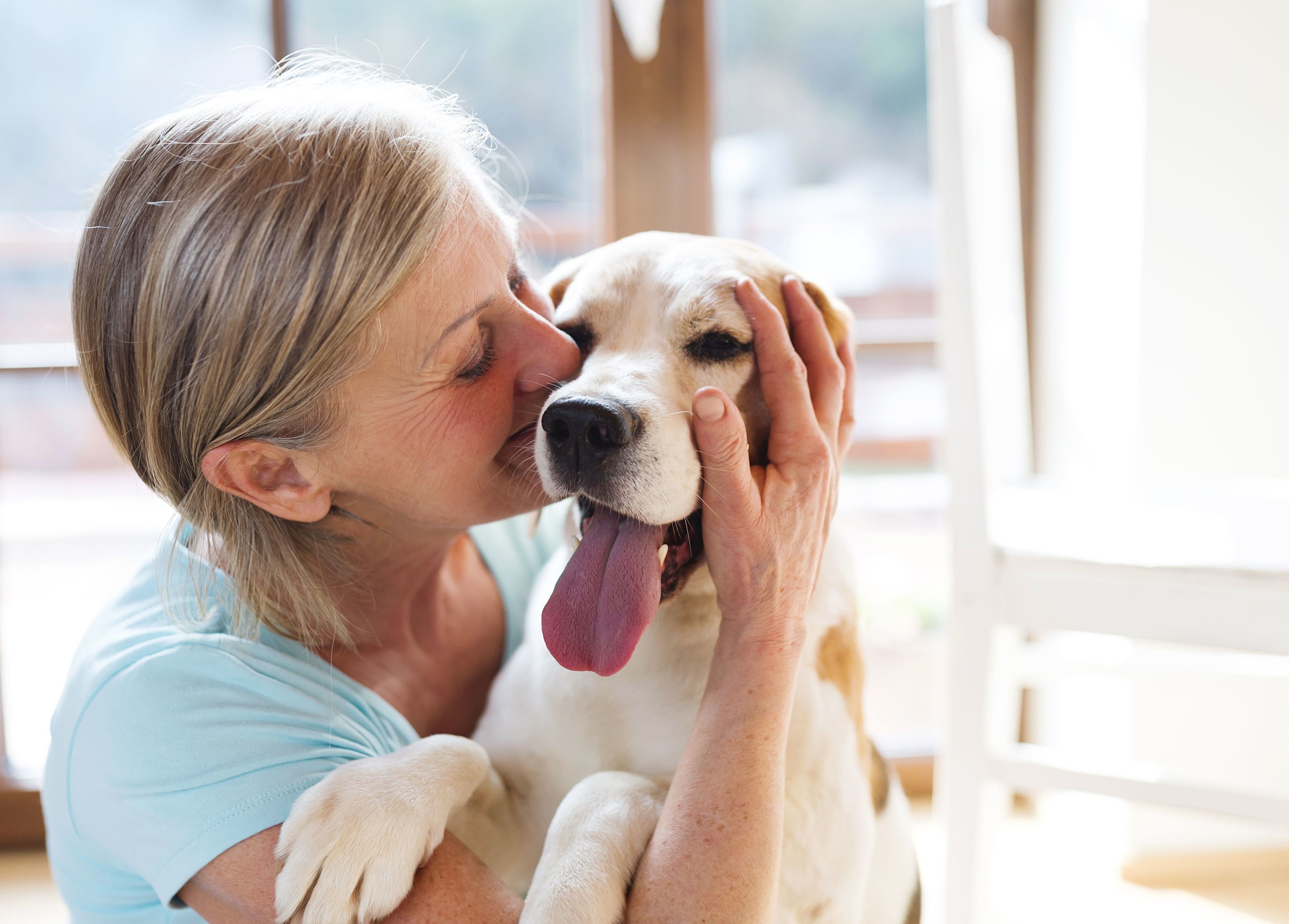 Why Choose An Emotional Support Dog