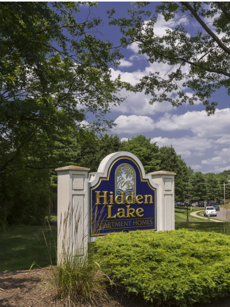 Welcome to Hidden Lake!