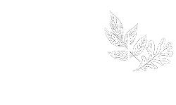 The Elle on Lockwood Logo