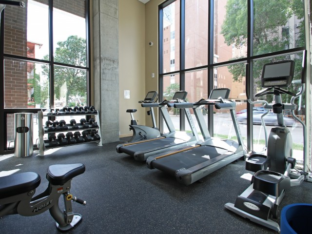 The Lux Apartments Lifestyle - Fitness Center