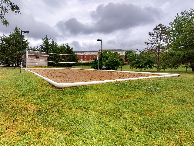 Campus Court at Red Mile Apartments Lifestyle - Volleyball Court
