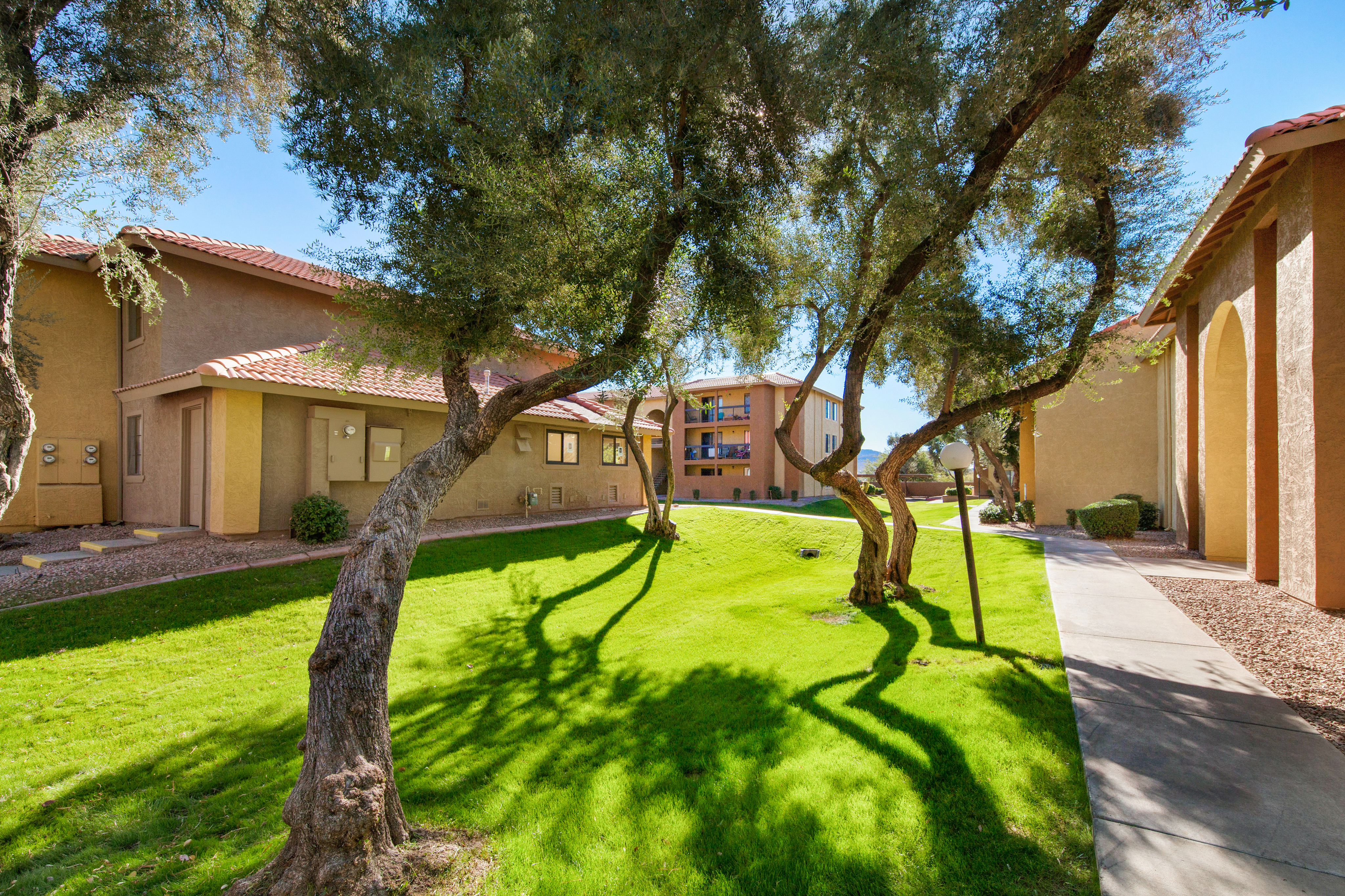 Apartments For Rent North Phoenix Az Canyon Creek Village