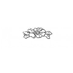 Meadowbrook Apartments