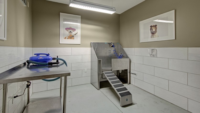Pet Washing Station | Crossroads at the Gulch | Apartments In Nashville TN
