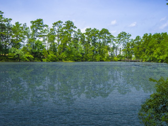 Stocked Pond with Fishing Pier