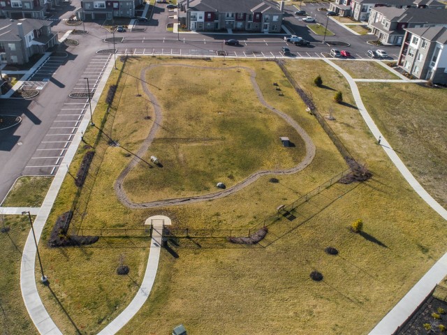 Echo-Park-at-Perry-Crossing-Plainfield-Indiana-Aerial-DogPark1