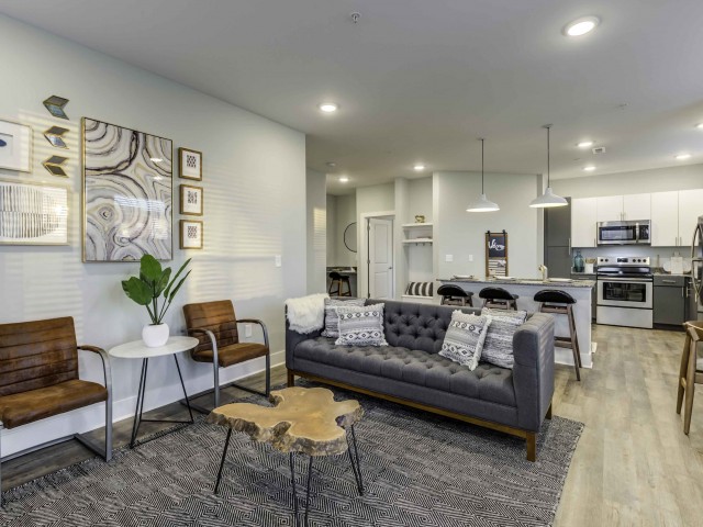 Echo-Park-at-Perry-Crossing-Plainfield-Indiana-Interior-Living-Room3