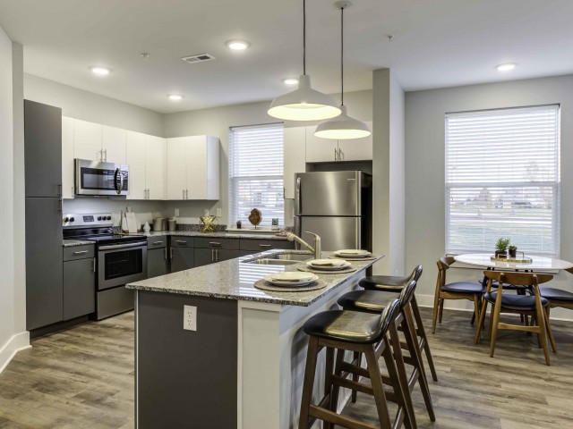 Echo-Park-at-Perry-Crossing-Plainfield-Indiana-Interior-Kitchen4