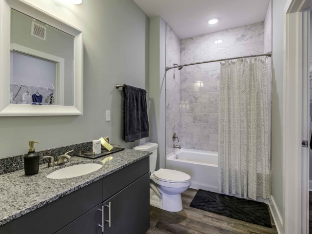 Echo-Park-at-Perry-Crossing-Plainfield-Indiana-Interior-Bathroom3