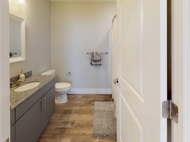 Echo-Park-at-Perry-Crossing-Plainfield-Indiana-Interior-Bathroom6