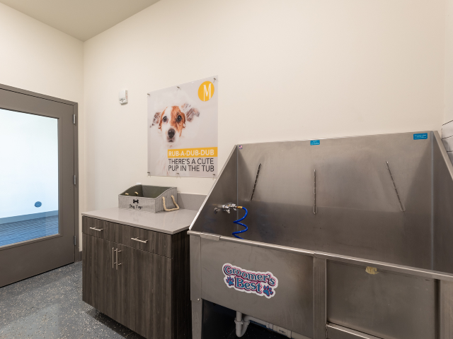 The-Mezz-at-Fiddler’s-Green-Community-Amenity-Dog-Spa-1