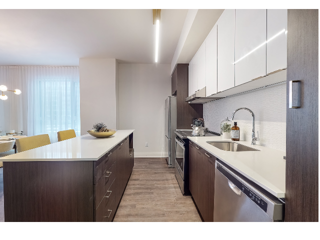 monarc locatif