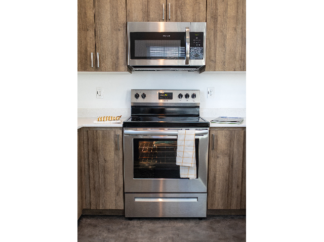 Electric Oven with Range