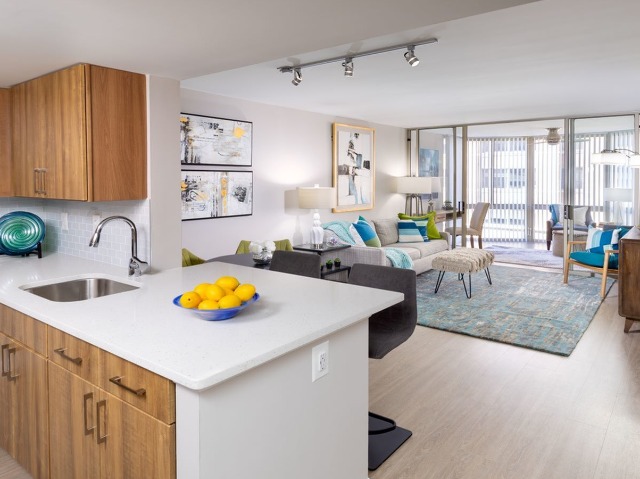 Luxurious Living Area with Sunroom | Luxury Apartments In Arlington VA | Meridian at Ballston Commons