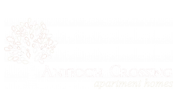 Antioch Crossing Property Logo is a tree with the words Antioch Crossing Apartment homes