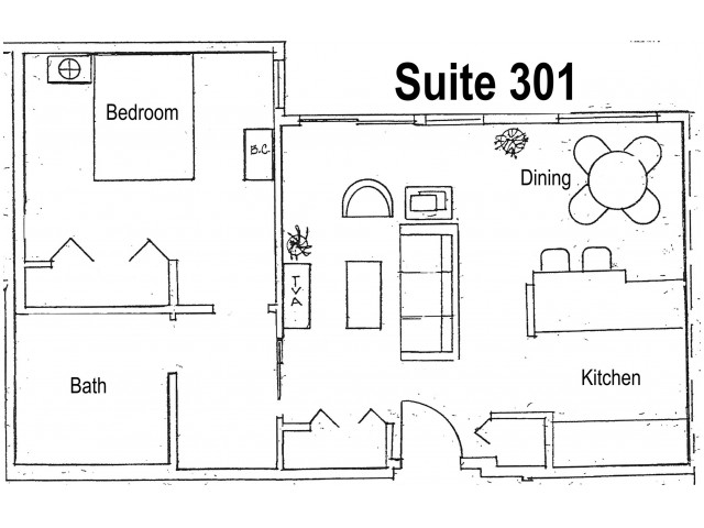 1 Bed 1 Bath Apartment In Seattle Wa Apartments And