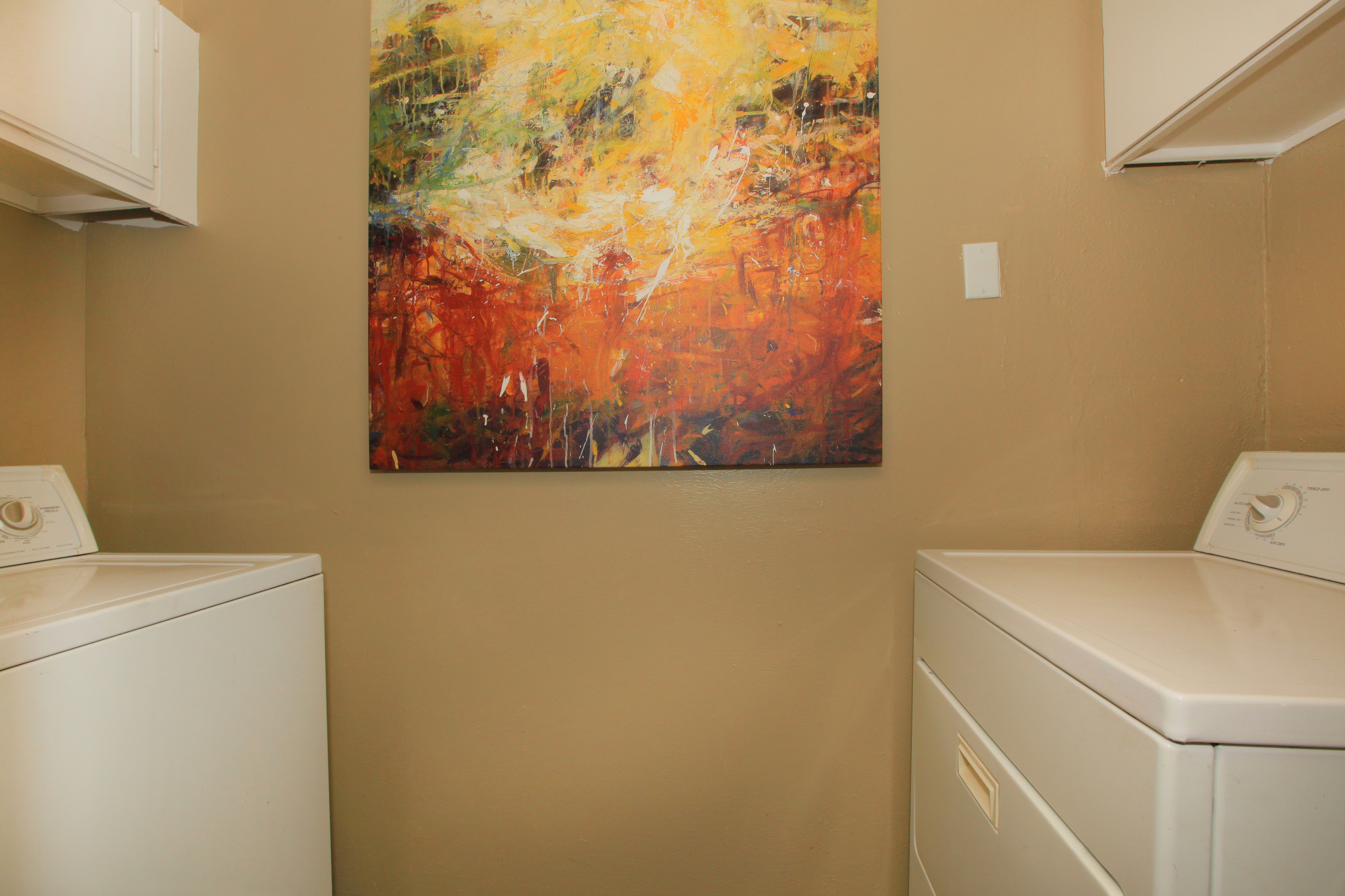 The Fredd Image 43