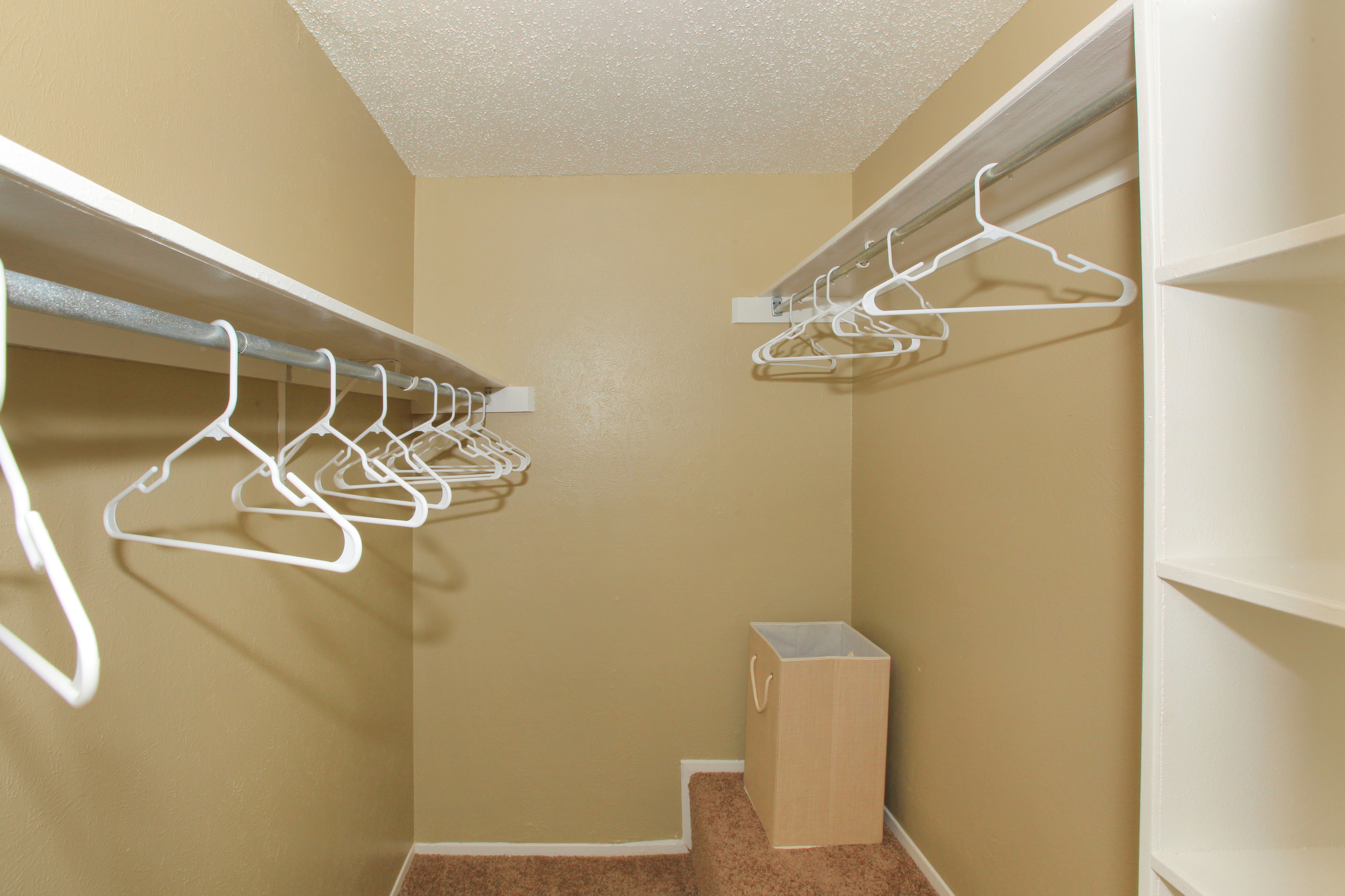 The Fredd Image 48