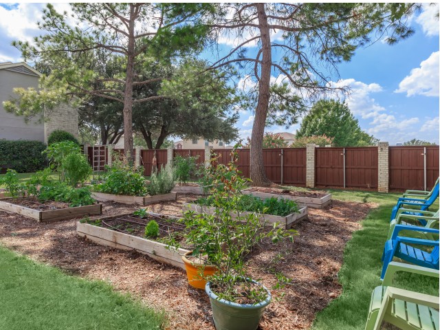 Community Garden