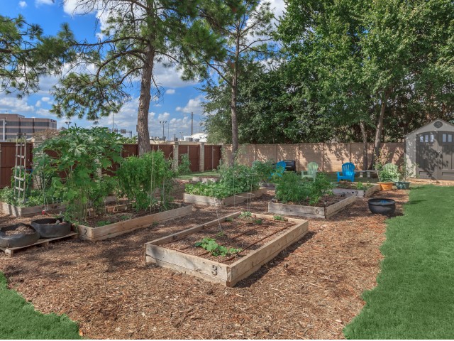 Organic Gardening