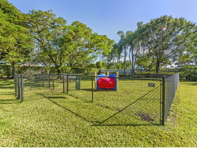 Community dog park and pet play area in gated grass enclosure